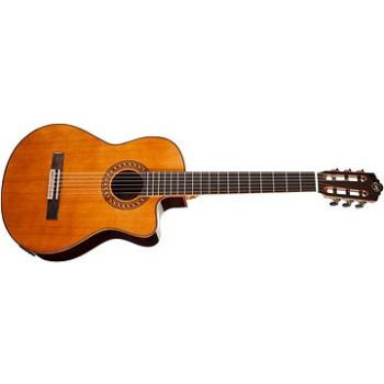 TANGLEWOOD EM DC 5 (HN230185)