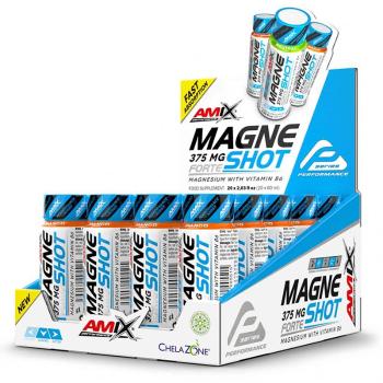 Amix Performance MagneSHOT Forte 375 mg podpora spánku a regenerace příchuť Mango 20x60 ml