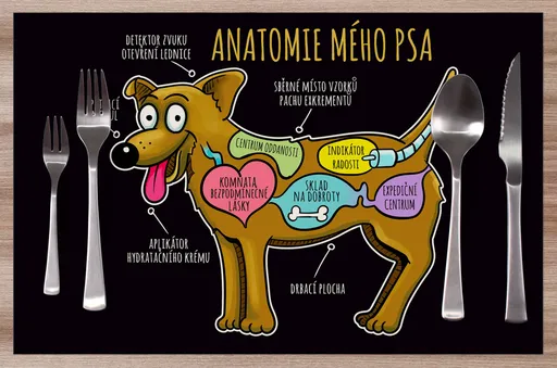 Prostírání Anatomie mého psa