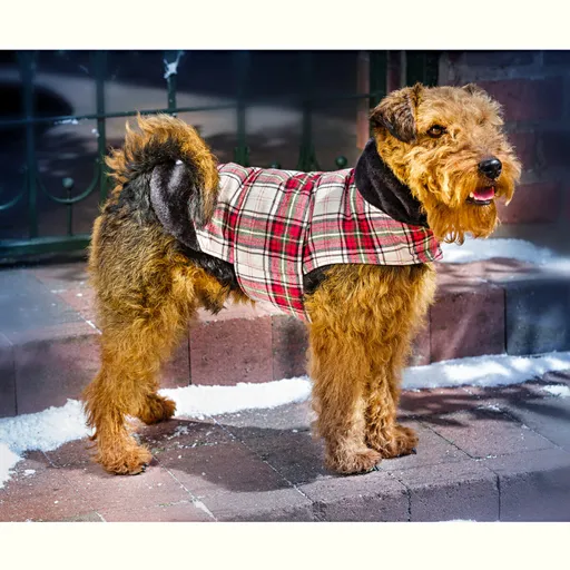 Kabátek pro psa Charlie S