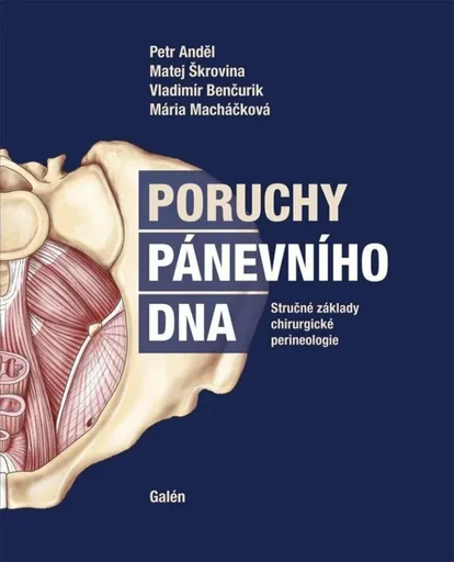 Poruchy pánevního dna - Petr Anděl, Matej Škrovina, Vladimír Benčurik, Mária Macháčková