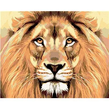 Diamondi - Diamantové malování - LVÍ POHLED, 40x50 cm, bez rámu a bez vypnutí plátna (601945A)