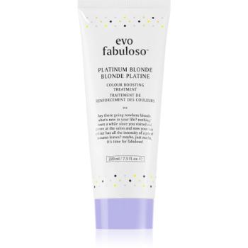 EVO Fabuloso Colour Boosting Treatment maska na vlasy pro zvýraznění barvy vlasů odstín Platinum Blonde 220 ml