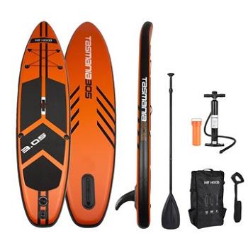 Paddleboard Tasmania (708012)