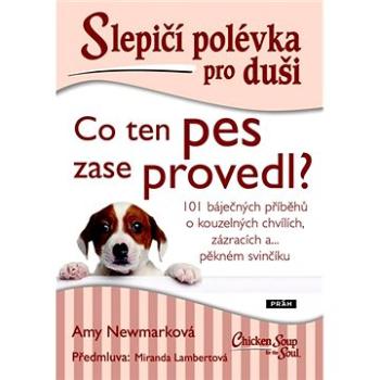 Slepičí polévka pro duši Co ten pes zase provedl?: 101 báječných příběhů o kouzelných chvílích, zázr (978-80-7252-855-4)