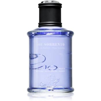 Jeanne Arthes J.S. Joe Sorrento parfémovaná voda pro muže 100 ml