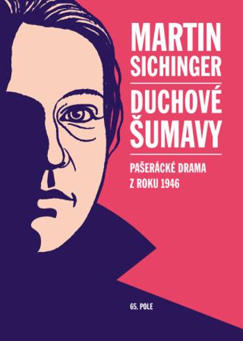 Duchové Šumavy - Martin Sichinger - e-kniha