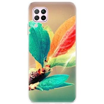 iSaprio Autumn pro Huawei P40 Lite (aut02-TPU3_P40lite)