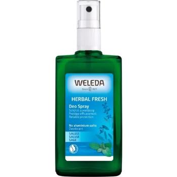 Weleda Šalvějový deodorant 100 ml