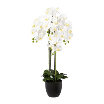 Gasper Umělá orchidej v pryskyřicovém květináči, 99 cm, bílá