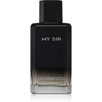 Roccobarocco My Sir parfémovaná voda pro muže 100 ml