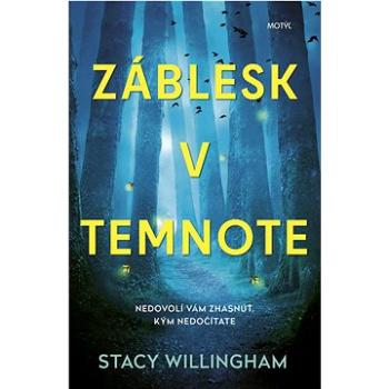 Záblesk v temnote (978-80-8164-304-0)