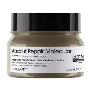 L'Oréal Professionnel Maska pro poškozené vlasy Absolute Repair Molecular (Professional Mask) 250 ml