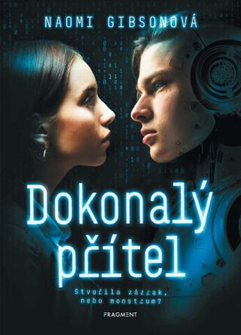 Dokonalý přítel - Naomi Gibsonová