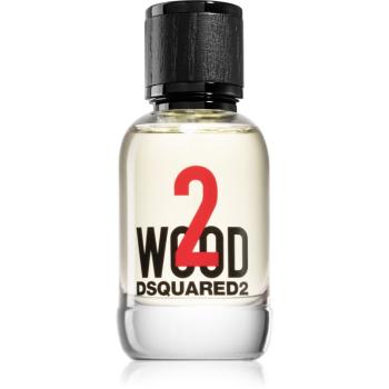 Dsquared2 2 wood toaletní voda pro muže 50 ml