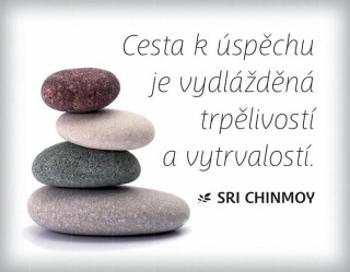 Magnet na lednici - Cesta k úspěchu je vydlážděná trpělivostí a vytrvalostí - Sri Chinmoy