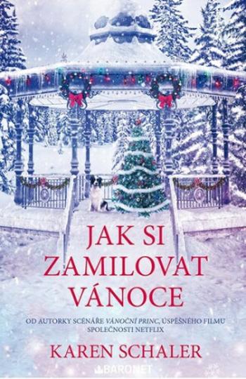 Jak si zamilovat Vánoce - Karen Schaler