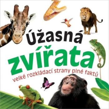 Úžasná zvířata