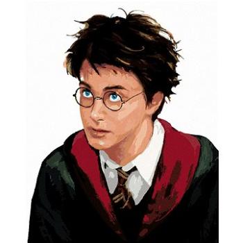 Zuty - Harry potter portrét, 40×50 cm (HRAwlmal153nad)