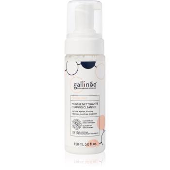 Gallinée SKIN CARE Foaming Facial Cleanser jemná čisticí pěna na obličej 150 ml