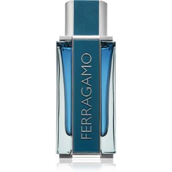 Ferragamo Ferragamo Intense Leather parfémovaná voda pro muže 100 ml