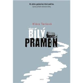 Bílý pramen (978-80-257-3800-9)