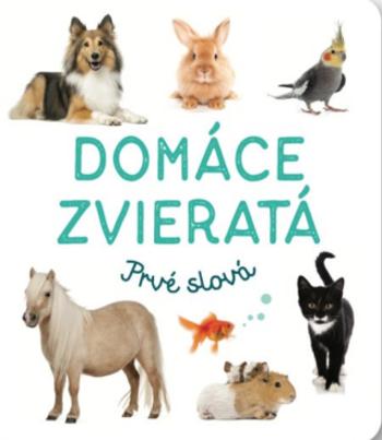 Domáce zvieratá