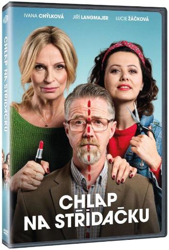 Chlap na střídačku (DVD)