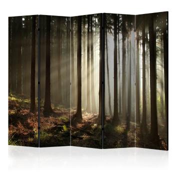 Paraván Coniferous forest Dekorhome 225x172 cm (5-dílný)