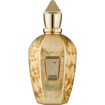XerJoff Accento Overdose - EDP - TESTER 100 ml