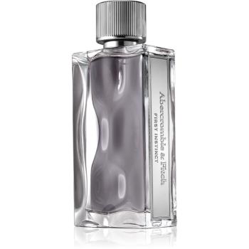 Abercrombie & Fitch First Instinct toaletní voda pro muže 100 ml