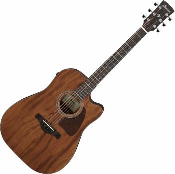 Ibanez AW1040CE-OPN Open Pore Natural Elektroakustická kytara Dreadnought