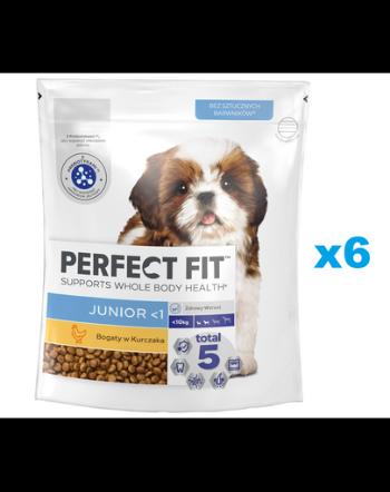 PERFECT FIT Junior