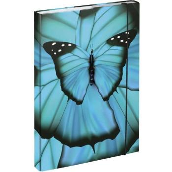 BAAGL BUTTERFLY Füzettartó box  A4, kék, méret