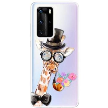 iSaprio Sir Giraffe pro Huawei P40 Pro (sirgi-TPU3_P40pro)