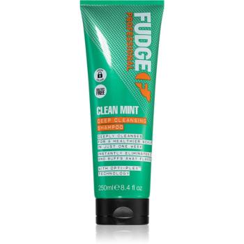 Fudge Clean Mint Shampoo šampon na mastné vlasy 250 ml