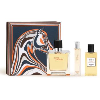 HERMÈS Terre d’Hermès Set dárková sada pro muže