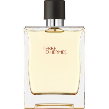 HERMÈS Terre d’Hermès toaletní voda pro muže 200 ml