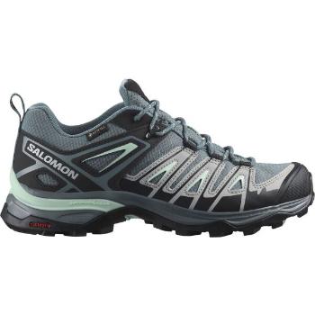 Salomon X ULTRA PIONEER GTX W Dámská turistická obuv, šedá, velikost 40 2/3