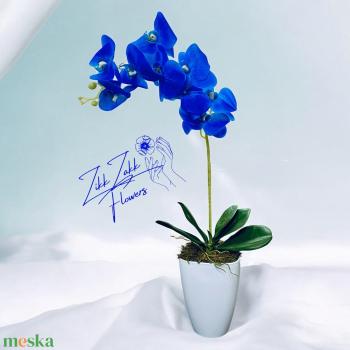 Kék Orchidea