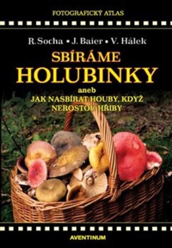 Sbíráme holubinky - Radomír Socha, Jiří Baier, Václav Hálek