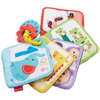 Fisher-Price Naučné karty 1 až 5 (887961772647)