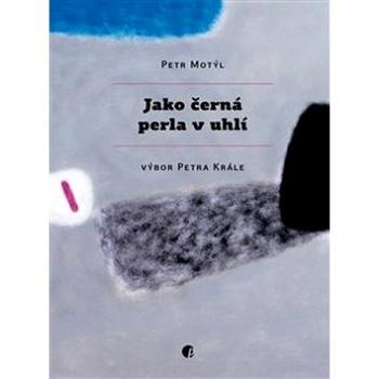 Jako černá perla v uhlí (978-80-87485-57-6)