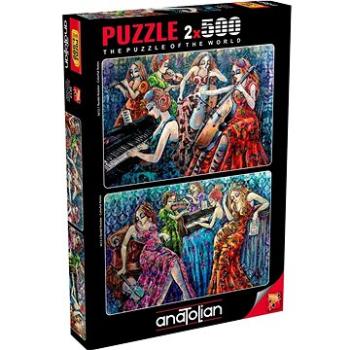 Anatolian Puzzle Barevné noty 2x500 dílků (8698543136120)