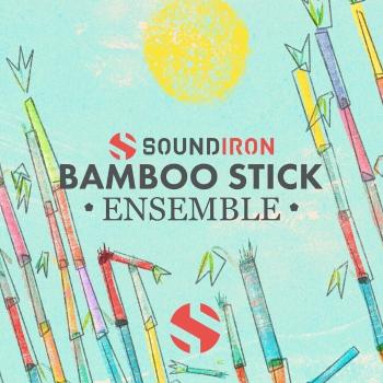 Soundiron Bamboo Stick Ensemble (Digitální produkt)