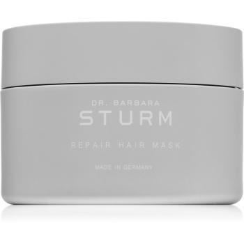 Dr. Barbara Sturm Repair Hair Mask regenerační maska pro suché a nepoddajné vlasy 200 ml