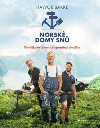 Norské domy snů - Pettersen Mads