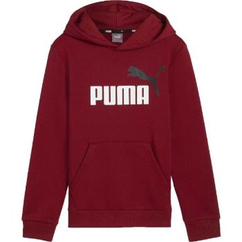 Puma ESSENTIALS + BIG LOGO HOODIE Chlapecká mikina, vínová, velikost