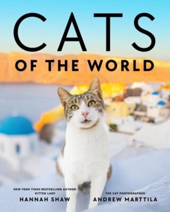 Cats of the World - Hannah Shaw