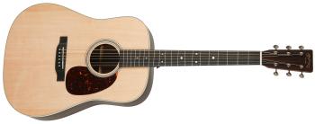 Martin D-16E Rosewood